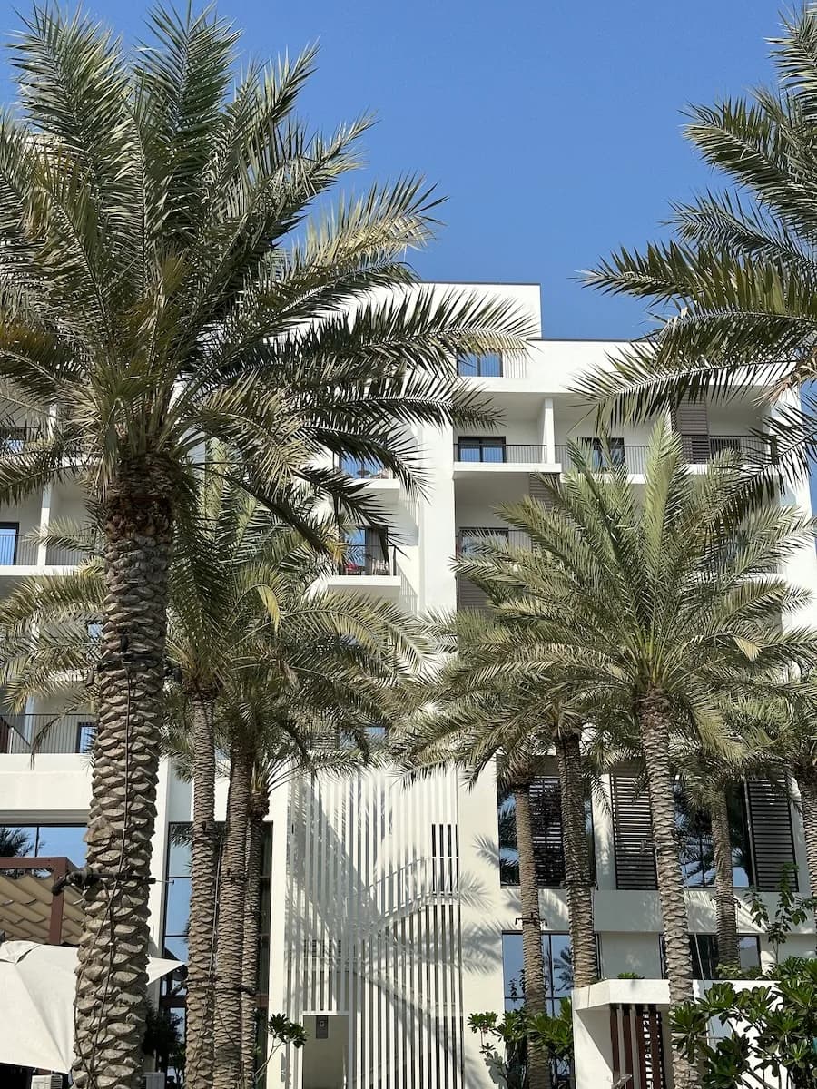 Quiet Luxury & Summer Complete Pack example 31 — before